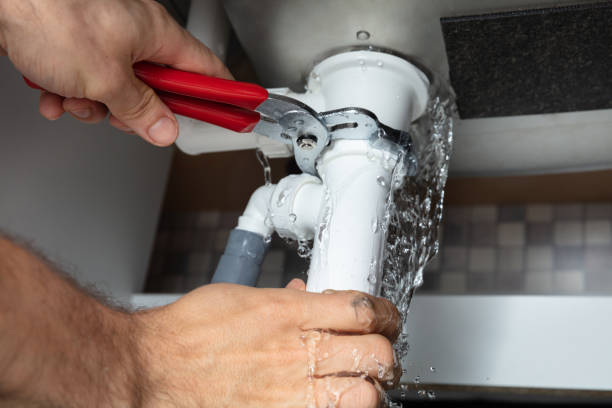 Best Professional water damage repair  in Mount Olive, MS
