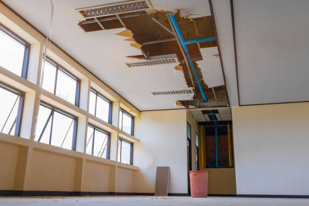 Best Water damage restoration near me  in Mount Olive, MS