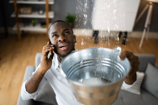 Best Flood damage cleanup  in Mount Olive, MS