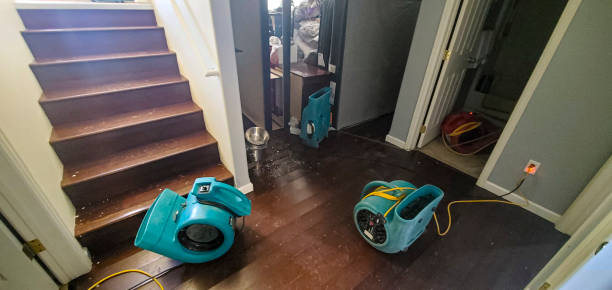 Best Sewage cleanup and water damage restoration  in Mount Olive, MS