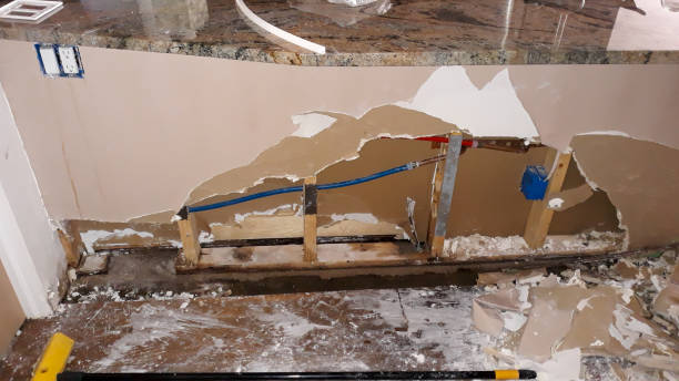 Best Fire Damage Restoration  in Mount Olive, MS