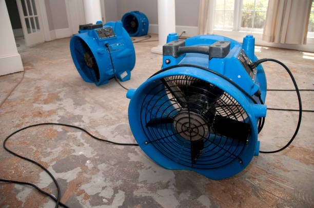 Best Flooded house restoration  in Mount Olive, MS