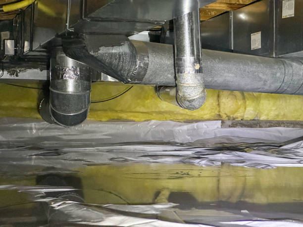 Best Ceiling water damage repair  in Mount Olive, MS