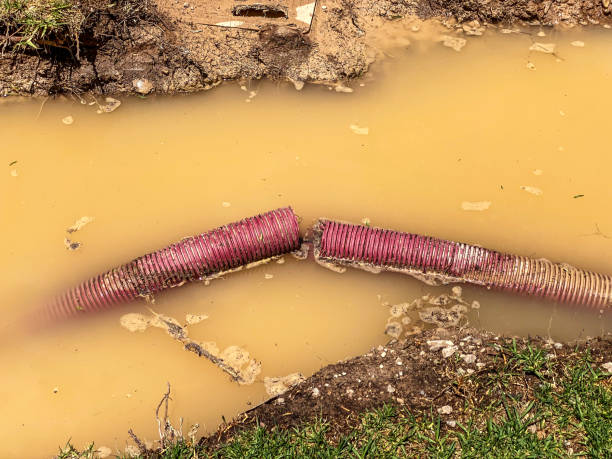 Best 24-hour water damage restoration  in Mount Olive, MS