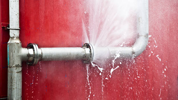 Best Residential water damage restoration  in Mount Olive, MS