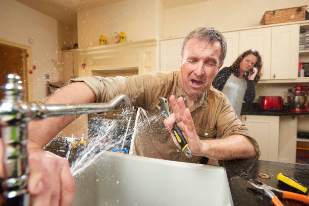 Best Water damage restoration near me  in Mount Olive, MS